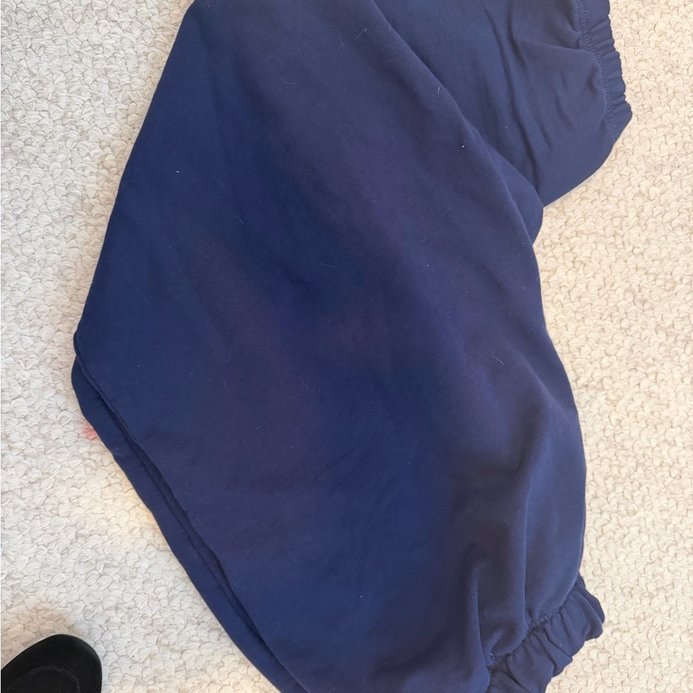 Aerie Navy Blue Sweatpants Size Large